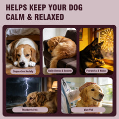 Jomielerr Calming Chews, ingredientes naturales, apoyo suave para la ansiedad canina