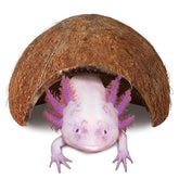 JOR cueva de coco para axolotl ofrece refugio privado y tranquilo en el acuario