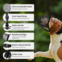 JOYPAWS bandas reflectantes para perros, aumentan visibilidad y seguridad nocturna.