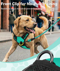 Harnais Joytale grand chien avec clip arrière pour marche confortable.