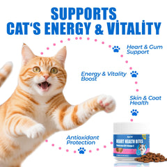 Just Try coq10-taurina-balance-gato: fórmula que apoya la salud cardiovascular diaria.