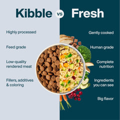 JustFoodForDogs alimento de digestion superior para perro
