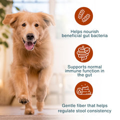 JustFoodForDogs ingredientes frescos grado humano para perros, calidad visible