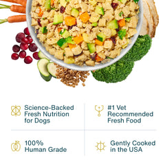 JustFoodForDogs topper de pavo y macarrones para mezclar con la comida diaria.