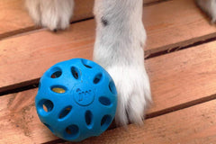 Bola JW Pet con huecos para mejorar el agarre durante el juego.
