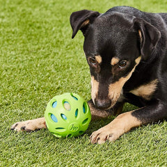 JW Pet Crackle Heads Crackle Ball Pequeño con agarre mejor para jugar a buscar.
