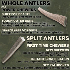 K-9 Antler Co. masticable dura para perros grandes.