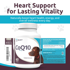K9 Select CoQ10: enfoque en corazón y circulación saludable.