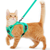 Arnés Kaazylab para gato a prueba de escape, seguro para paseos