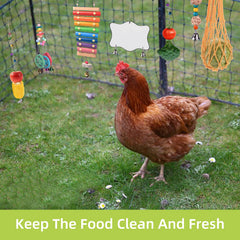 KAKUNM espejo para gallinas: interacción y curiosidad en el coop.