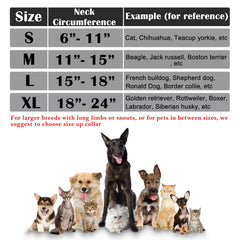Katoggy collar inflable para recuperación postoperatoria: permite comer y beber con comodidad.