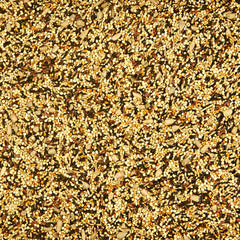 Granos pequeños de Kaytee Wild Finch aptos para picos diminutos.