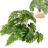 KERUIDENG Monstera deliciosa con base pesada para terrario estable