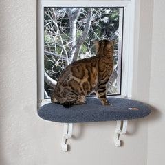 K&H Kitty Sill hamaca de ventana para gatos grandes, descanso soleado.