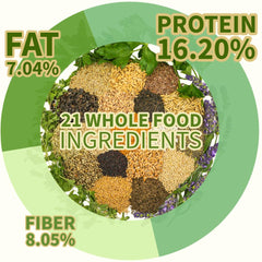 KikiBirds Premium Parrot Food no-fillers close-up highlights pure ingredients.