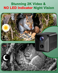 KinetCam caja-ardilla: entrada doble para observar desde dos ángulos.