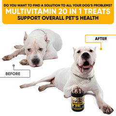 Gominolas Kinpur Pet Care, textura detalle, sabor agradable