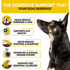 Kinpur Probiotics Chews para perros, etiqueta frontal visible, fórmula natural.