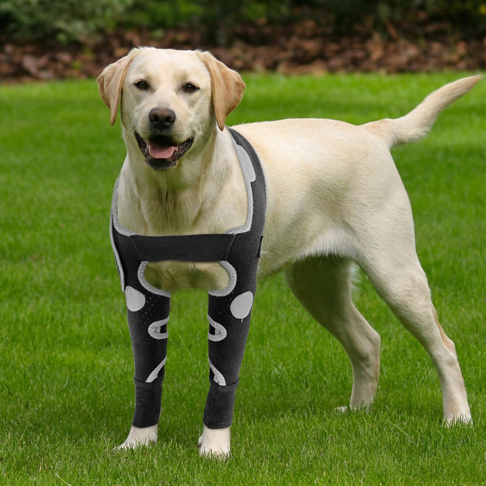 Protector de codo para perros KISFLY, evita lamer heridas.