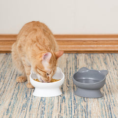 Kitty City: rugas internas para control del ritmo de comida, mejora experiencia al comer.