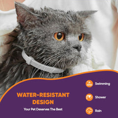 Collar ajustable Klioak con diseño de ruptura que facilita el uso diario.