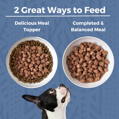 KOHA estofado con conejo y calabaza digestiva, apoyo suave para estómago.