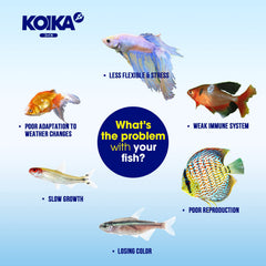 KOIKA BACM probiótico para la digestión de peces con microflora beneficiosa