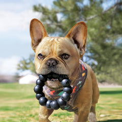 KONG Extreme Ring: durabilidad excepcional para perros extragrandes durante el juego.