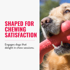 KONG Goodie Bone con Goodie Gripper facilita rellenar y mantener ocupado al perro.