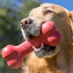 KONG Goodie Bone utiliza goma roja para juego prolongado y satisfacción.