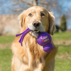 KONG Wubba muestra nylon reforzado para mayor durabilidad en el juego.