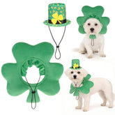 KOOLTAIL disfraz completo para perros en Día de San Patricio, ideal para fotos.