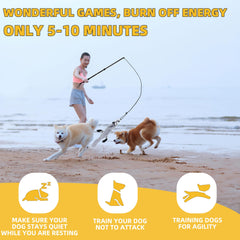 KOXXUD Flirt Pole Dogs con longitud ajustable para juego interior y exterior.