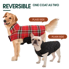 Chaqueta Kuoser para perros, ajuste de cuello y vientre con cierre de velcro.