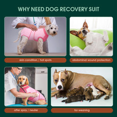 Kuoser traje de recuperación para perros, vista posterior, cobertura amplia para evitar lamidos.