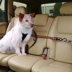 Kurgo Auto Zip Line tira de nylon resistente para libertad controlada del perro durante el viaje.
