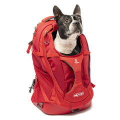 Kurgo G-Train mochila transportín para perro, cómodo durante caminatas.