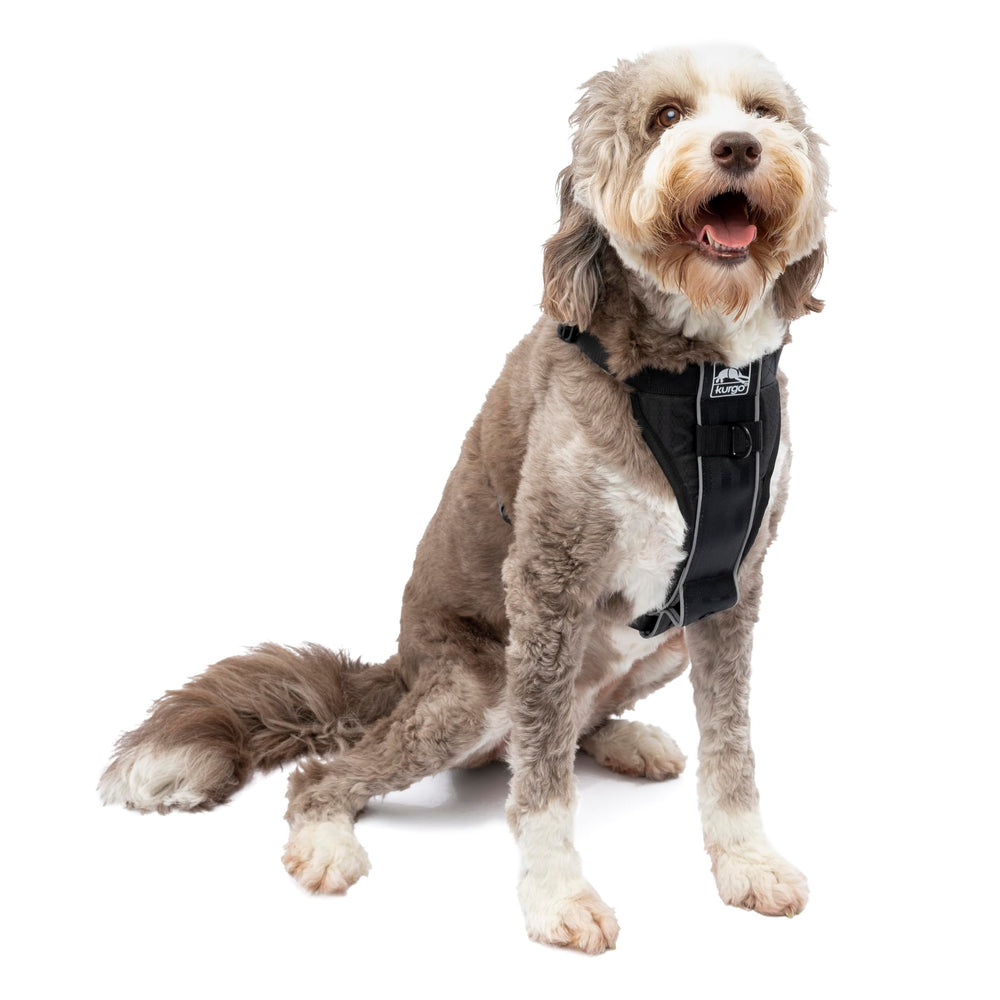 Kurgo Tru-Fit: arnés para perro con ajuste rápido para paseos sin esfuerzo.