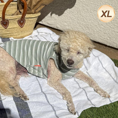 KYEESE camiseta perro textura waffle verde: tela acogedora que cuida la piel sensible.