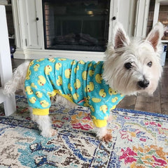 Pijama KYEESE de terciopelo suave para comodidad diaria de la mascota.