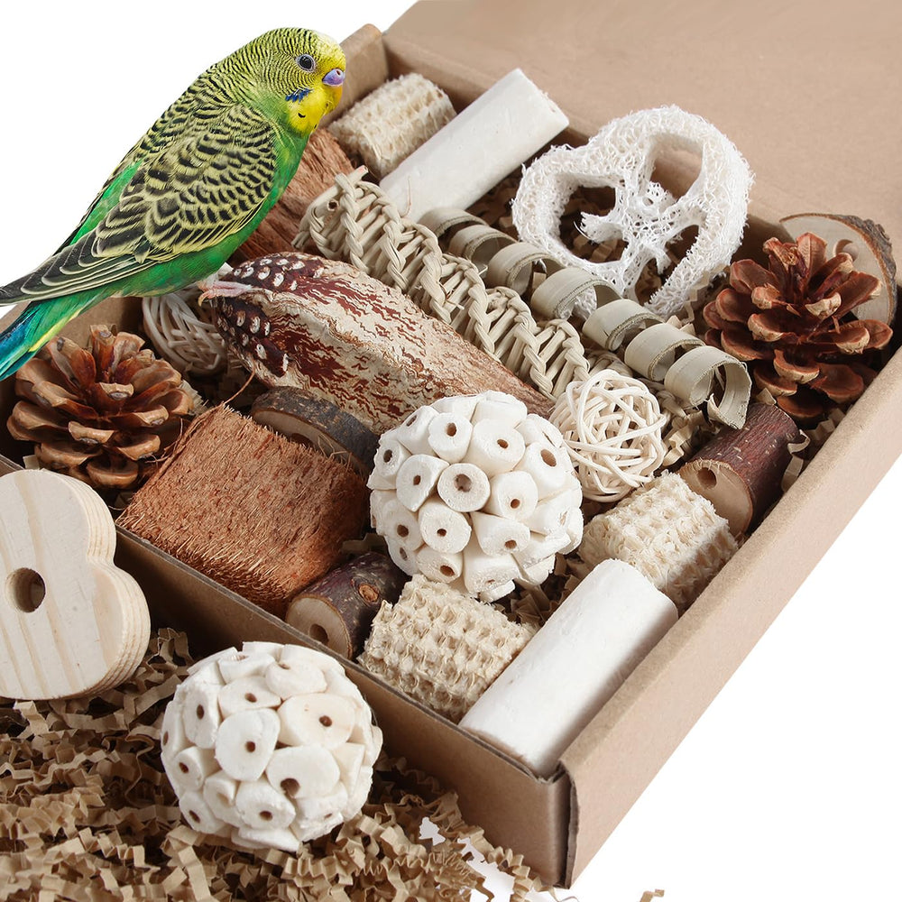 Juguetes Kyouki para aves, caja de forraje natural invitando a explorar
