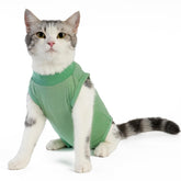 kzrfojy combinaison rétablissement chat verte — vue avant, port confortable post-chirurgie