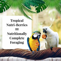 LAFEBER'S Nutri-Berries con mango, papaya y pina, ingredientes reales para aves saludables