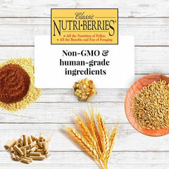 Nutri-Berries de LAFEBER'S, antioxidantes y Omega 3 y 6 para plumaje brillante.