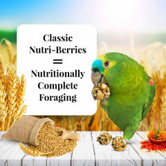 LAFEBER'S Nutri-Berries primer plano de ingredientes no GMO para loros.