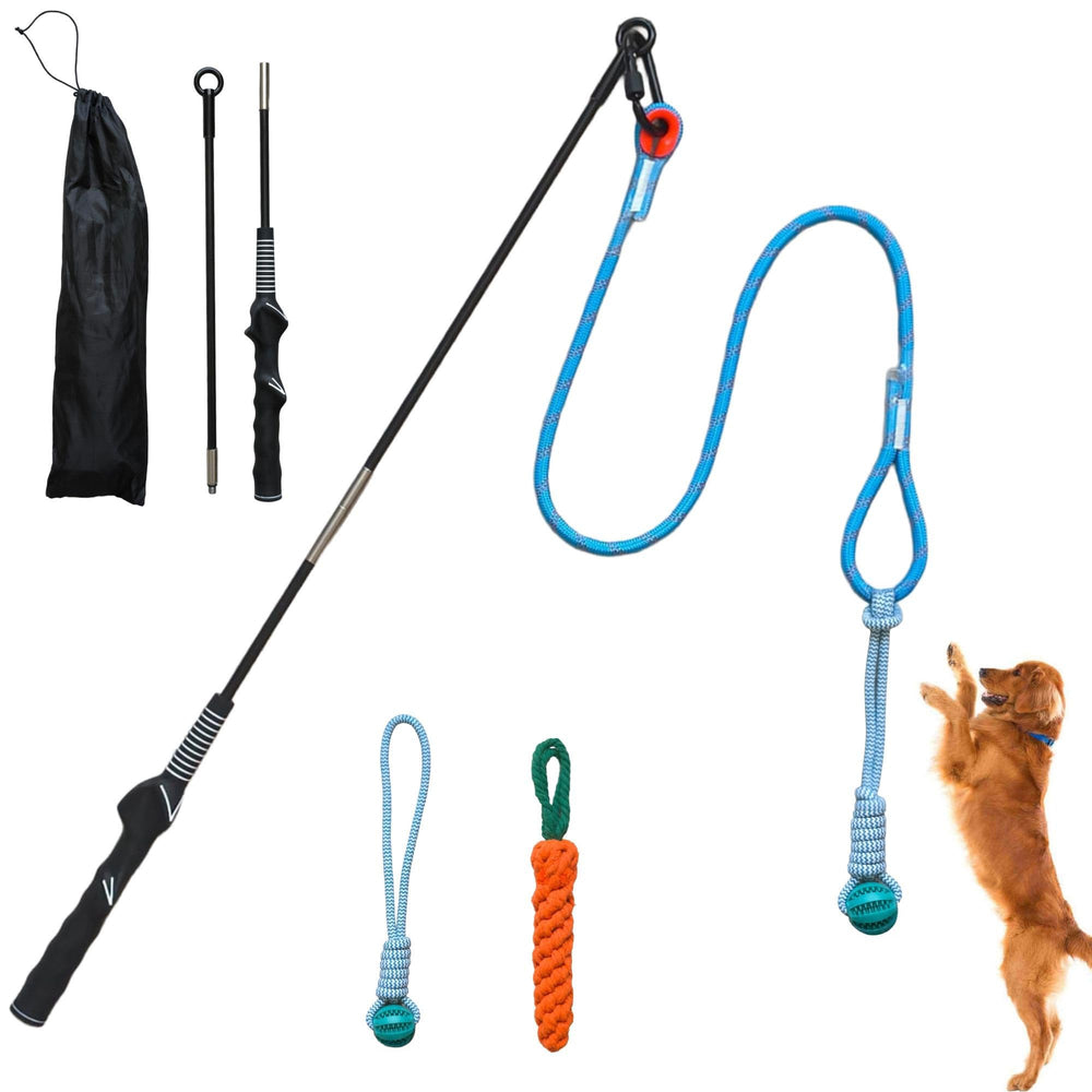 Lamfer Flirt Pole en acción para perros al aire libre, mejora energía y enfoque