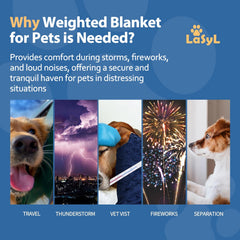 LaSyL cobija pesada para mascotas, doble cara, manta suave de Minky para mayor comodidad.