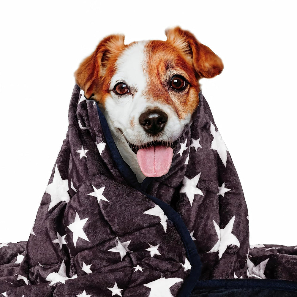 LaSyL cobija pesada para mascotas, frente azul gris con estrella, promueve relajación suave.