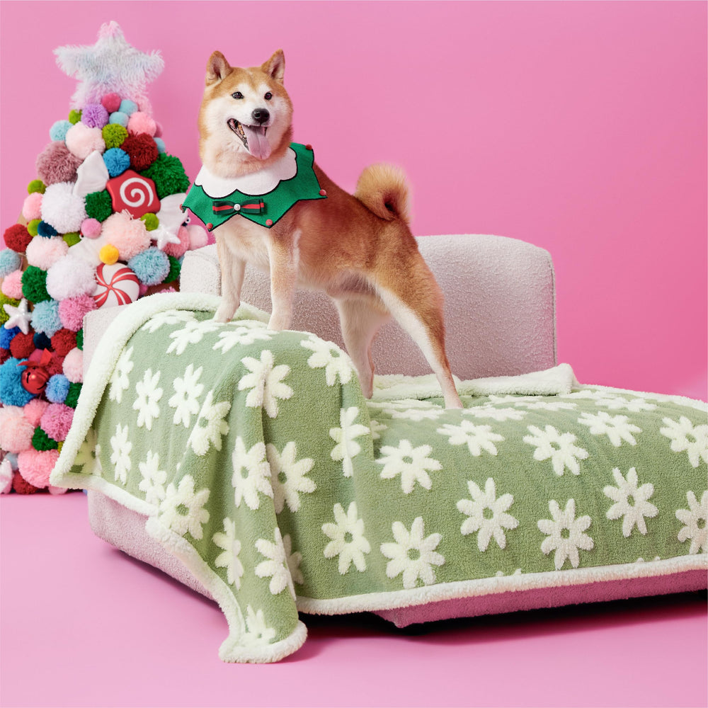 Manta LE SURE impermeable para perros grandes, doble cara verde, protege el sofá.