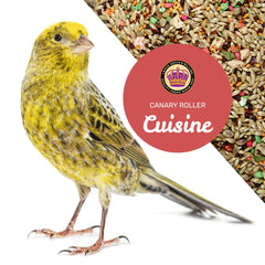 LEACH Canary Cuisine, plumaje brillante gracias a la dieta.